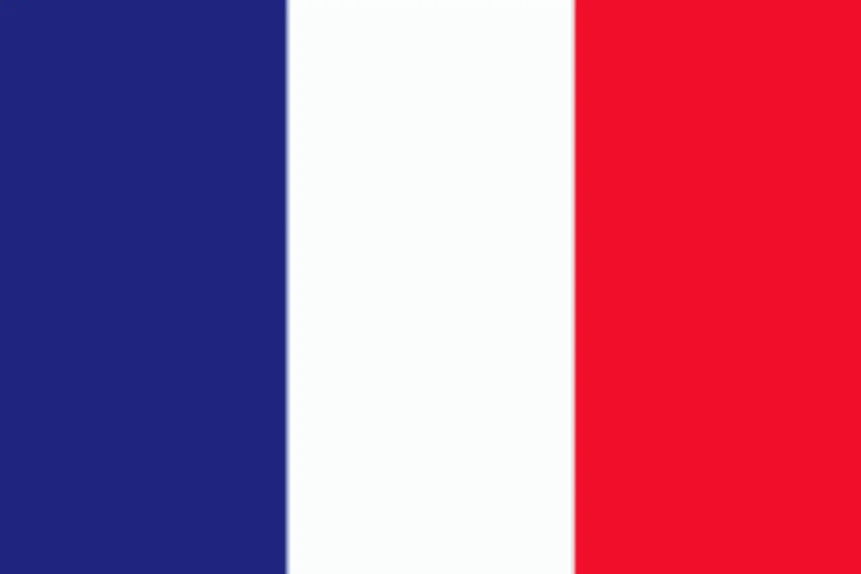 alive france flags